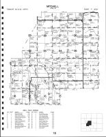 Code 10 - Mitchell Township, Mitchell County 1999